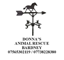 Donna's Animal Rescue