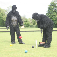 Gainsborough Croquet Club for all ages